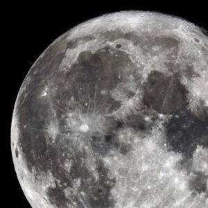 Profile photo of Jose